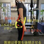 女子の筋肉バランスが悪いブサイクな体から抜け出す IMG 3072 150x150 - 女子の筋肉バランスが悪いブサイクな体から抜け出す