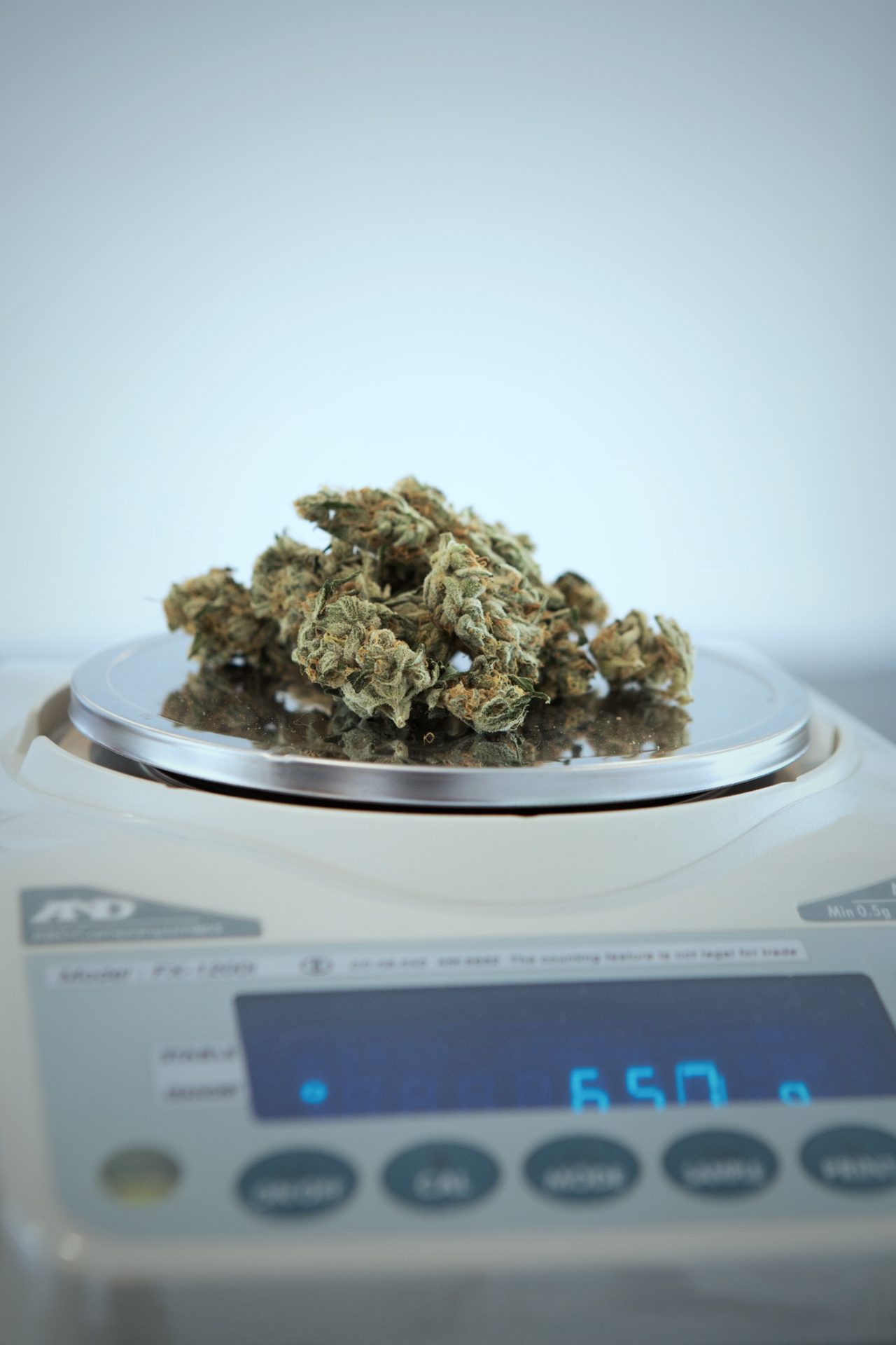 絶対痩せて綺麗になりたい!やせるグッズはこれ! add weed HrKpajkjrD4 unsplash - 絶対痩せて綺麗になりたい!やせるグッズはこれ!